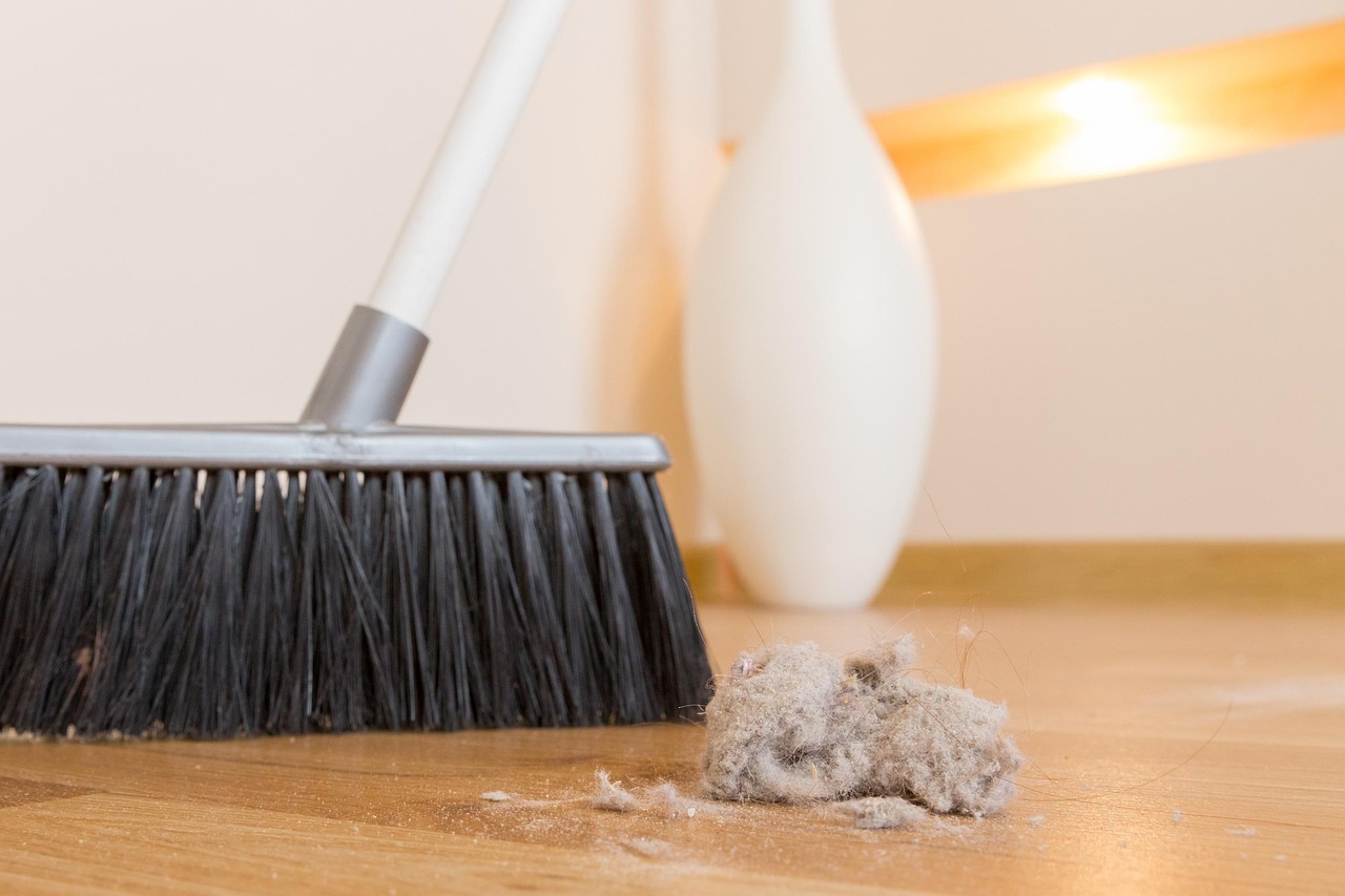contact-img broom, dirt, dust, clump, garbage, house, indoors, interior, working, ball, besom, brooming, chaos, chores, clean, cleaning, domestic, broom, broom, broom, dust, chores, chores, chores, chores, chores, clean